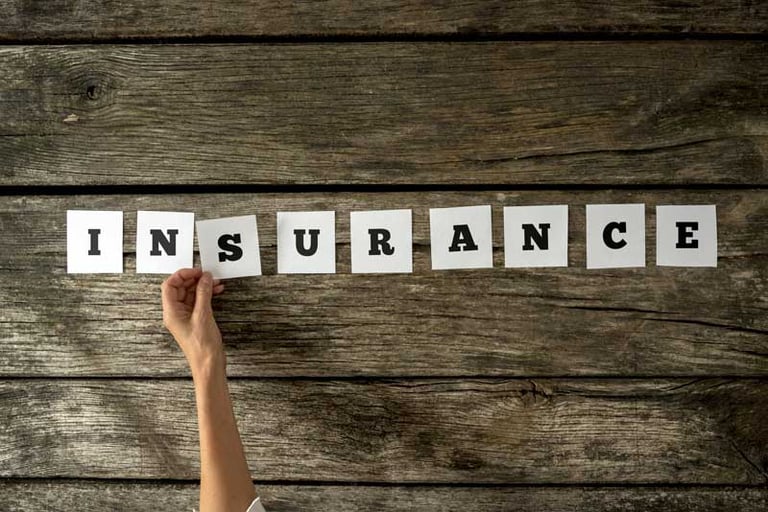 Independent insurance agents can use language access to expand