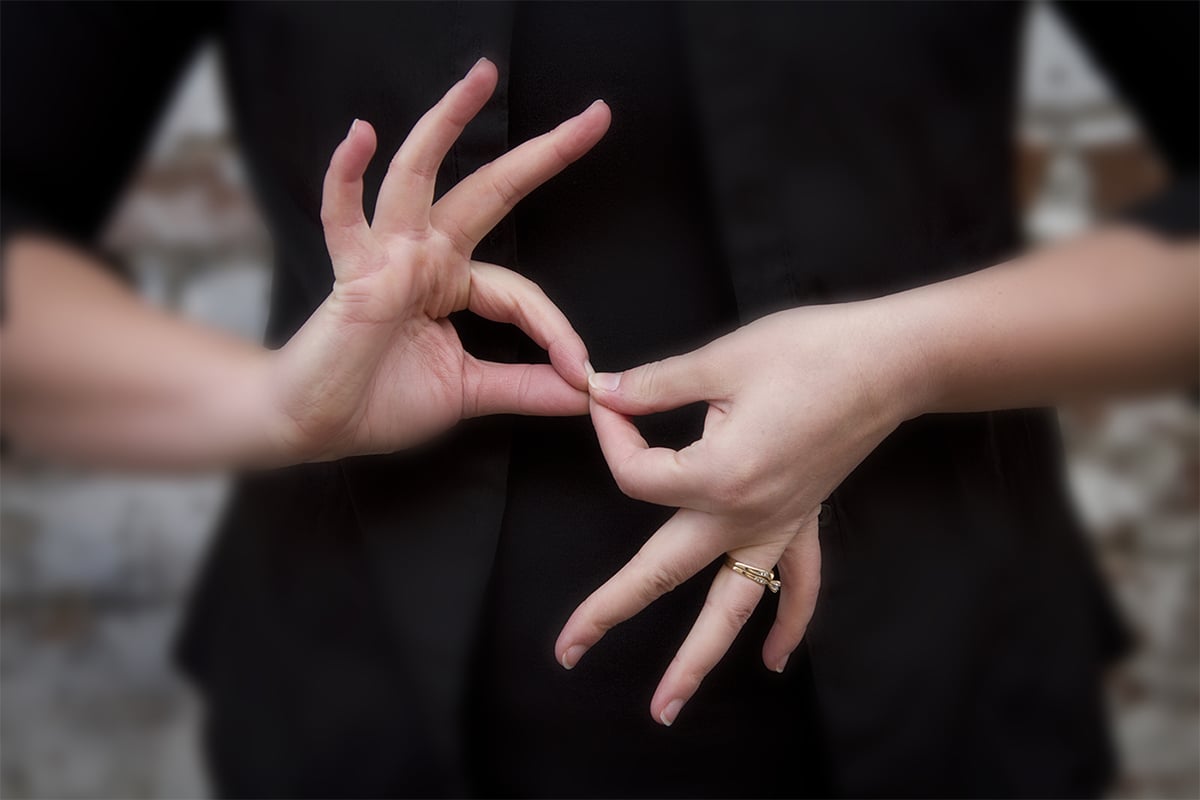sign language telehealth languageline
